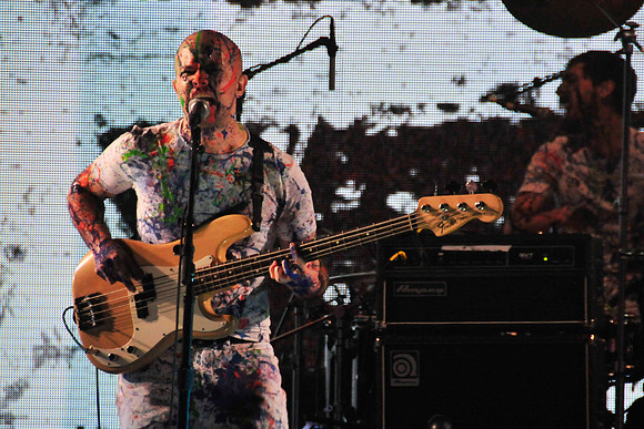 135535085BG021_Iggy_s_Best_